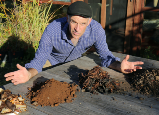 ‘Greens’ and ‘browns’?