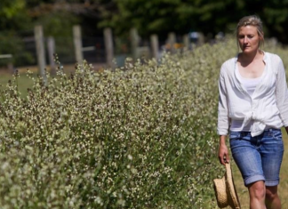 Growing edible flowers in the Macedon Ranges