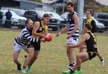 Kyneton on top of the ladder