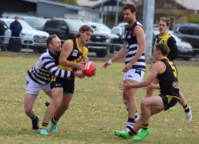 Tigers 1