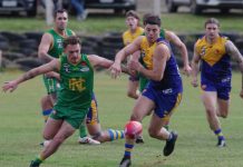 Lions dominate at the den