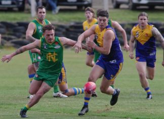 Lions dominate at the den