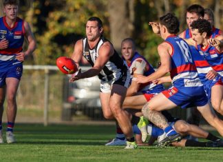 Gisborne dominate Magpies