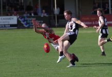 Magpies fall to Bloods