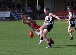 Magpies fall to Bloods