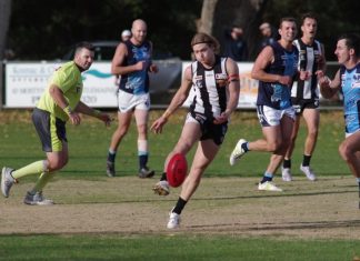 Magpies valiant against rampaging Hawks