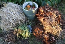 A perfect compost recipe?