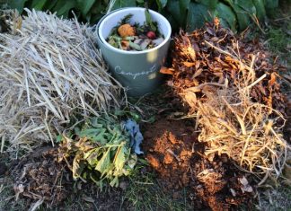 A perfect compost recipe?