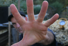 Five common compost myths