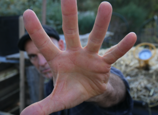 Five common compost myths