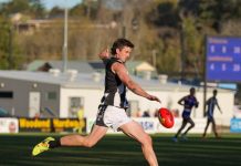 Interleague squad of 41