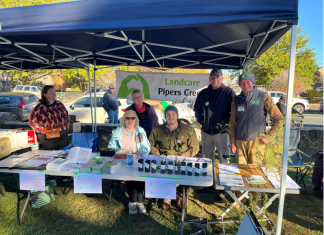 Free lunch – no strings attached