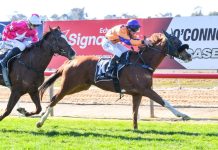Bourke boasts winner at Echuca