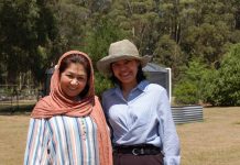 Spice up your afternoon (tea)