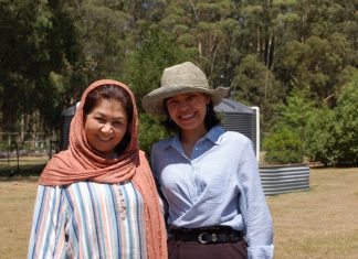 Spice up your afternoon (tea)