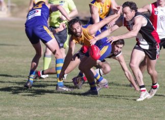 Saints topple Lions in match of the round