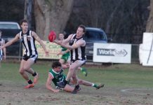 Magpies triumph over Roos