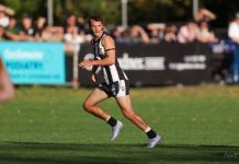 Magpies fall short in nailbiter