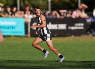 Magpies fall short in nailbiter