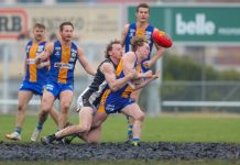 Magpies fall to determined Bulldogs