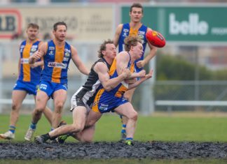 Magpies fall to determined Bulldogs