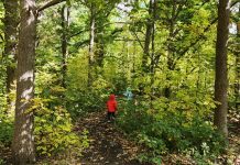 Big adventures for little legs: Guide captures highlights from Macedon Ranges and Mount Alexander