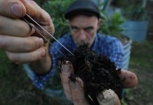 Humus, magic or myth?