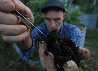 Humus, magic or myth?