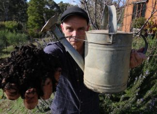 The amazing water-holding capacity of good compost