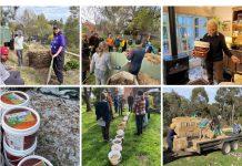 Where is YIMBY in mid 2025?