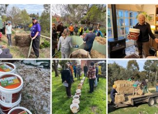 Where is YIMBY in mid 2025?