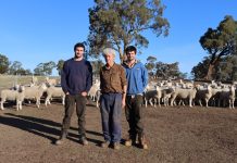 Drought takes a toll