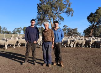 Drought takes a toll