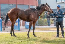 Consistency pays off