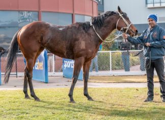 Consistency pays off