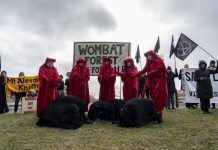 Locals mourn logging destruction