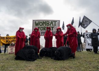 Locals mourn logging destruction