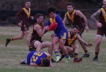 Lions, Bombers and Steaders notch up wins