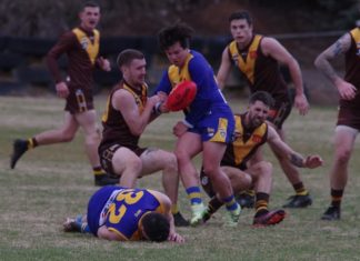 Lions, Bombers and Steaders notch up wins