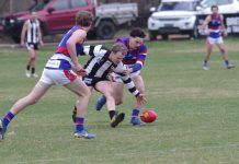Bulldogs overcome valiant Pies