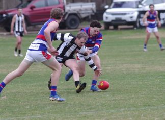 Bulldogs overcome valiant Pies