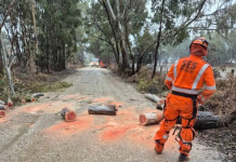 SES responds to wild weather