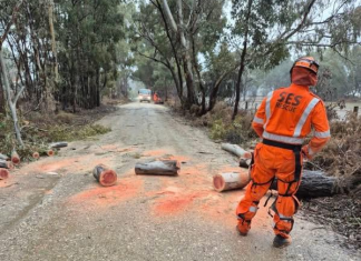 SES responds to wild weather