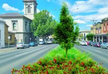 Plan to beautify Castlemaine