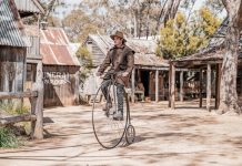 Tourist attraction back on track