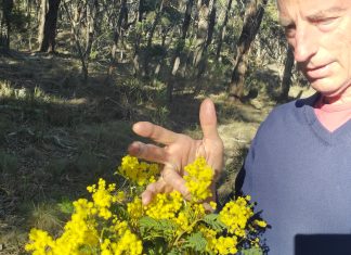 Protecting the strongholds