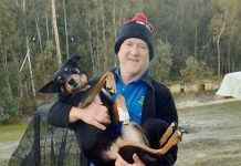 Cats, dogs and compost