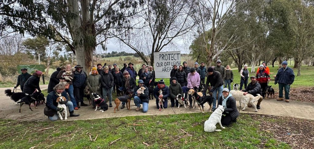 Tighter leash on free dog walking
