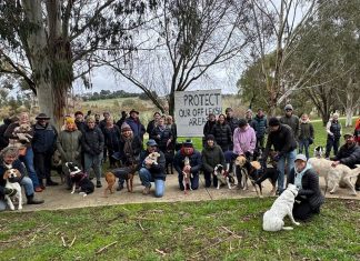 Tighter leash on free dog walking