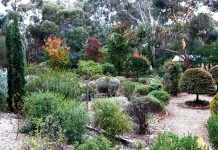 Show off your garden